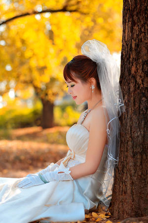 中远海运集运:即日起,恢复远东至阿联酋、沙特、巴林、卡塔尔、科威特、伊拉克的新订舱业务